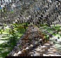 Self-guided Coast Walks - Noosa To Sydney 6 Days  Dep 25 Sep 2019 24 Sep 2020