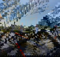 Noosa Hinterland Scenic FAT Bike  Abseil Tour