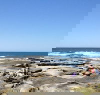 Sunshine Coast Rocky Shore Educational Eco Tour