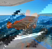 Full Day 9 Hour Offshore Fishing Charter