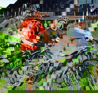 eMtn Bike  Brewery Day Tour