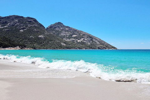 Sea & Explore Wineglass Bay & Freycinet National Park - Cruise & Walk - eTourism Australia 4
