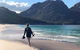 Sea & Explore Wineglass Bay & Freycinet National Park - Cruise & Walk - thumb 6