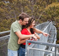Valley of the Giants Tree Top Walk - eTourism Australia
