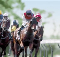 Colac Turf Club - eTourism Australia