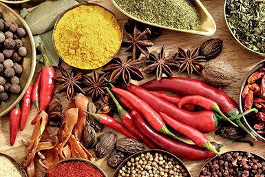 Vamos Melbourne - eTourism Australia 0