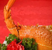 Marigold - eTourism Australia