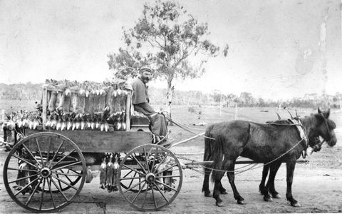 A Tale Of Two Villages - An Exhibition - eTourism Australia 1