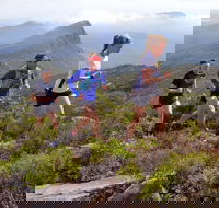 Peaks and Trails Run - eTourism Australia