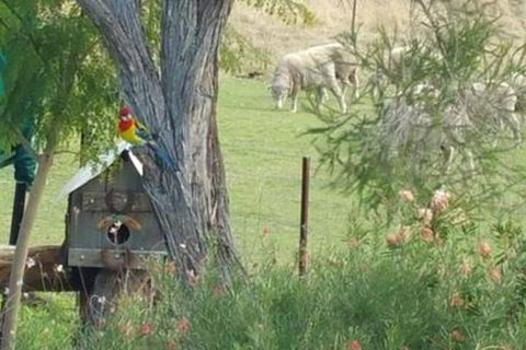 Birdhouse Cottage B & B - eTourism Australia 5