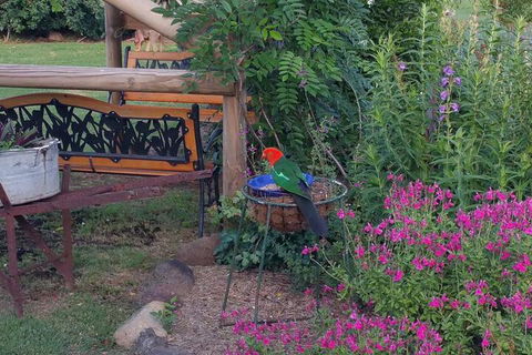 Birdhouse Cottage B & B - eTourism Australia 3