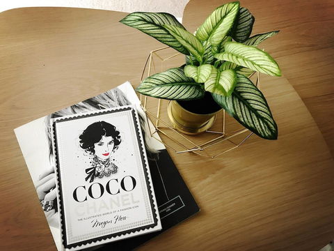 ILK Apartments South Yarra - eTourism Australia 2