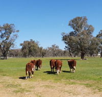 Jindera Park - eTourism Australia
