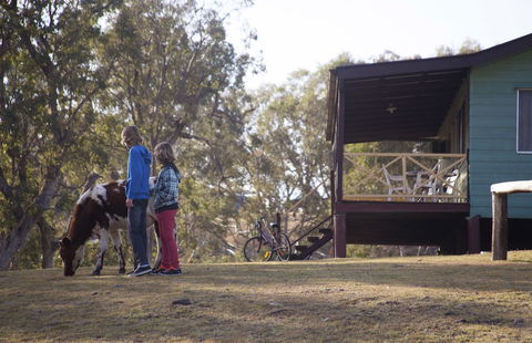 Bestbrook Mountain Resort - eTourism Australia 4