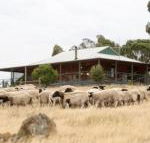 Gilgraves Vineyard Farmstay - eTourism Australia