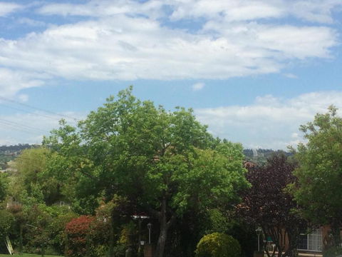 Costa Park Cottage Dio Armidale - eTourism Australia 3