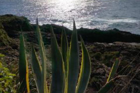 Ven & Marks Place - eTourism Australia 0