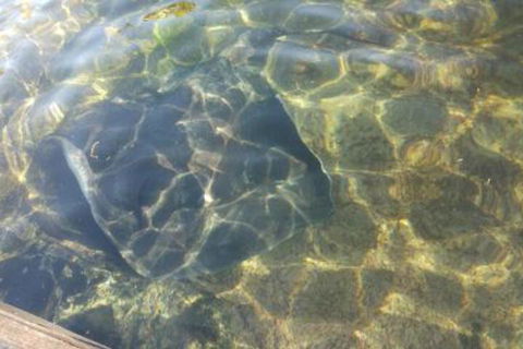 Ven & Marks Place - eTourism Australia 4