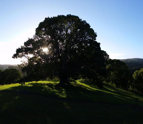 Valleydale Cottage - eTourism Australia 1