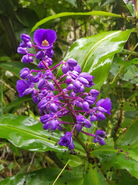 Valleydale Cottage - eTourism Australia 4