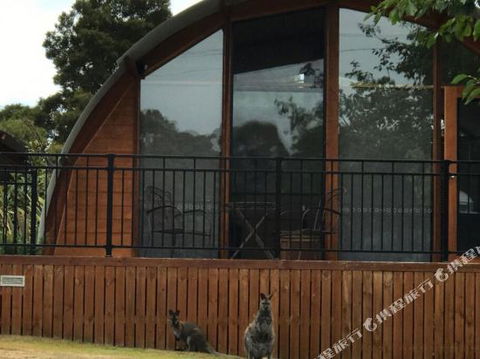 Bruny Island Accommodation 43 Degrees Beachside Studio Spa Apartments (1) - eTourism Australia 1