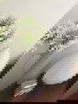 Beautiful Cottage, Ocean Views, Amazing Gardens, 12 Minute Walk To Beach - eTourism Australia 0