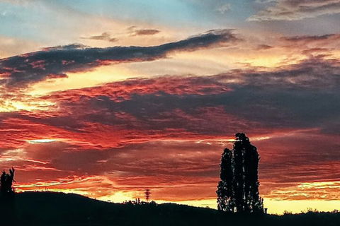 Sovereign Inn Cooma - eTourism Australia 3