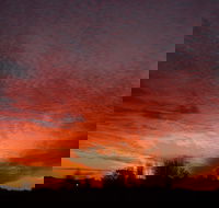 City Centre Motel - eTourism Australia