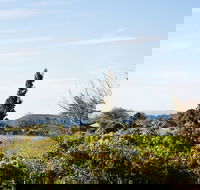 Botanica - eTourism Australia