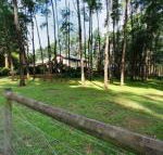 Fernglade on Menzies - eTourism Australia