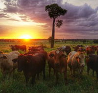 Myella Farm Stay - eTourism Australia