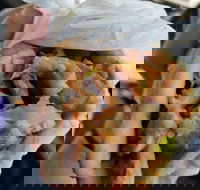 Alektor Charcoal  Grill - eTourism Australia