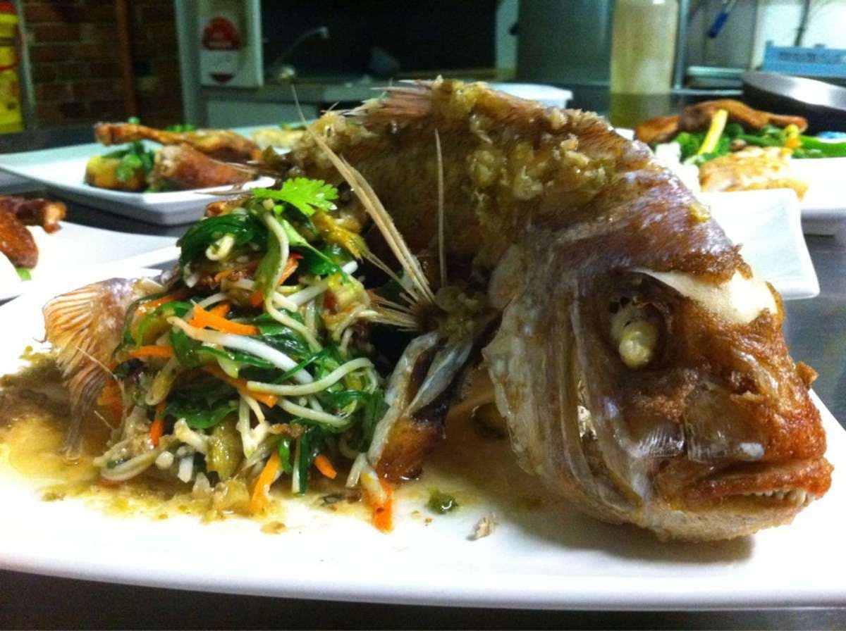 Traralgon VIC eTourism Australia