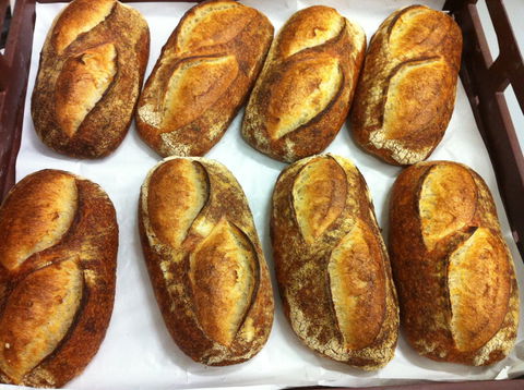 Wood-Frog Bakery - eTourism Australia 0