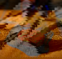 Hell of the North - eTourism Australia