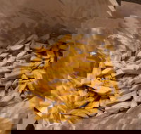 The Little Chippy - eTourism Australia