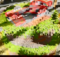 Runaway Cupcakes - eTourism Australia