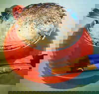 Arthur Radley - eTourism Australia