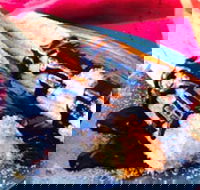 Donut King - Broadmeadows - eTourism Australia