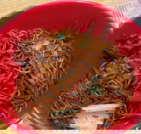 Noodle World - eTourism Australia