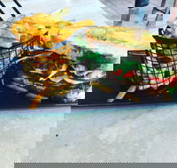 The Brew Lab Cafe - eTourism Australia