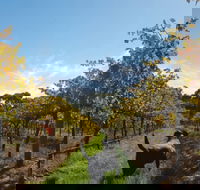 Ruddenklau Wines - eTourism Australia