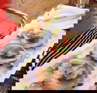 Sirocco Noosa - eTourism Australia