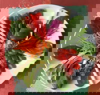 Olive Bus Clare - eTourism Australia