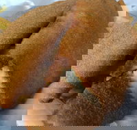 Fish Depot - Redland Bay