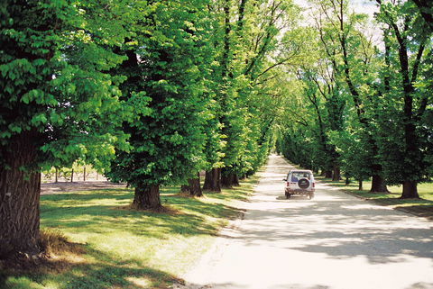 All Saints Estate - eTourism Australia 1