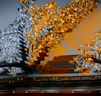 Tradies Helensburgh - eTourism Australia