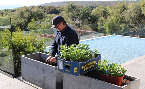 Other Side Of The Moon Restaurant - eTourism Australia 5