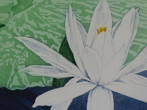 Monaco Court Apartment Adelaide - eTourism Australia 16