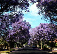 Monaco Court Apartment Adelaide - eTourism Australia